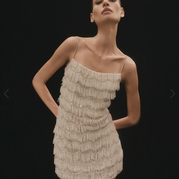 Rachel Gilbert Dresses & Skirts - Rachel Gilbert Champagne Beaded Fringe Mini Dress